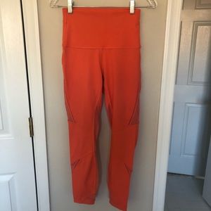 High Times Pant Wanderlust SZ 6
